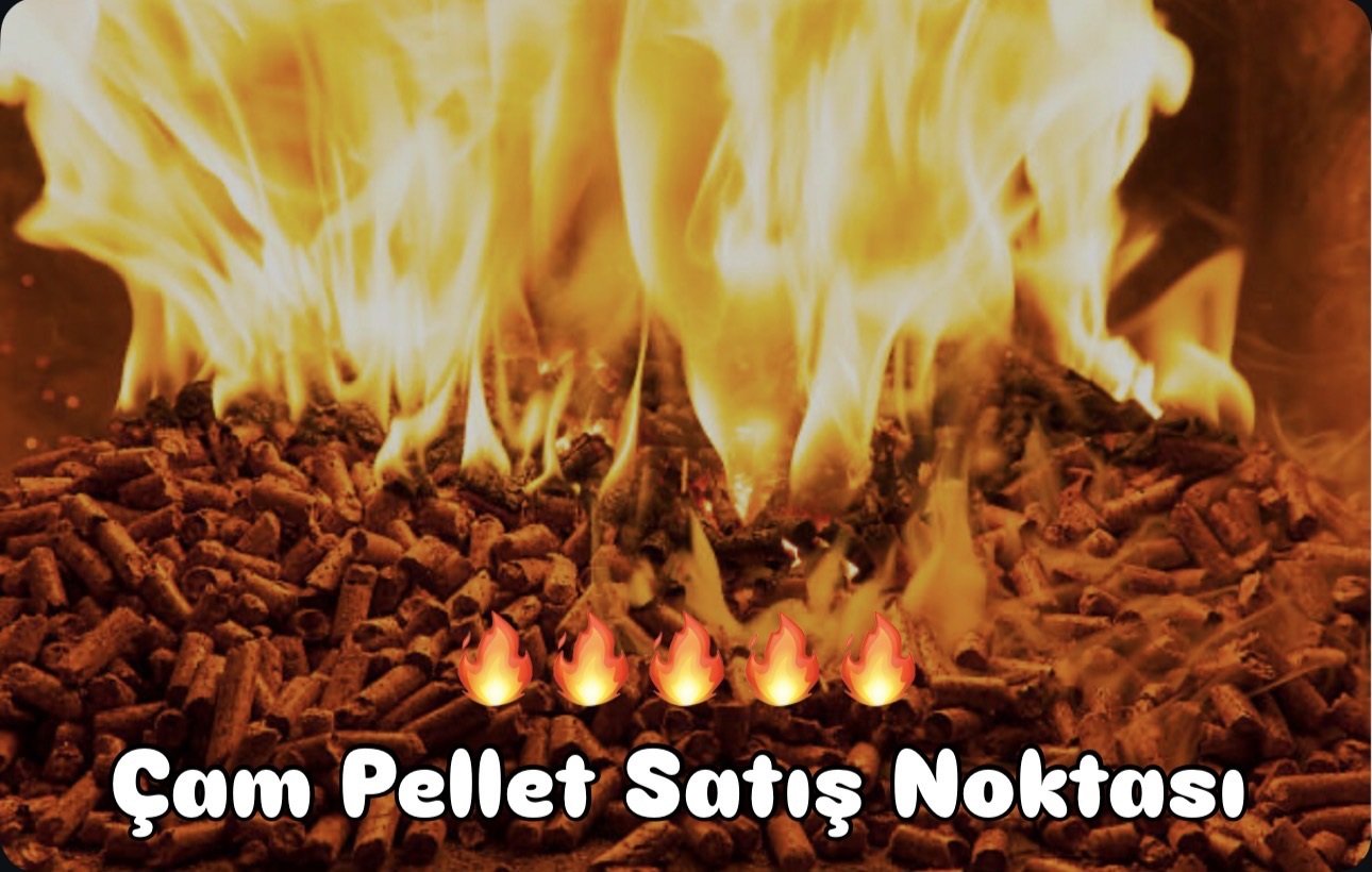 Global Isı Sistemleri